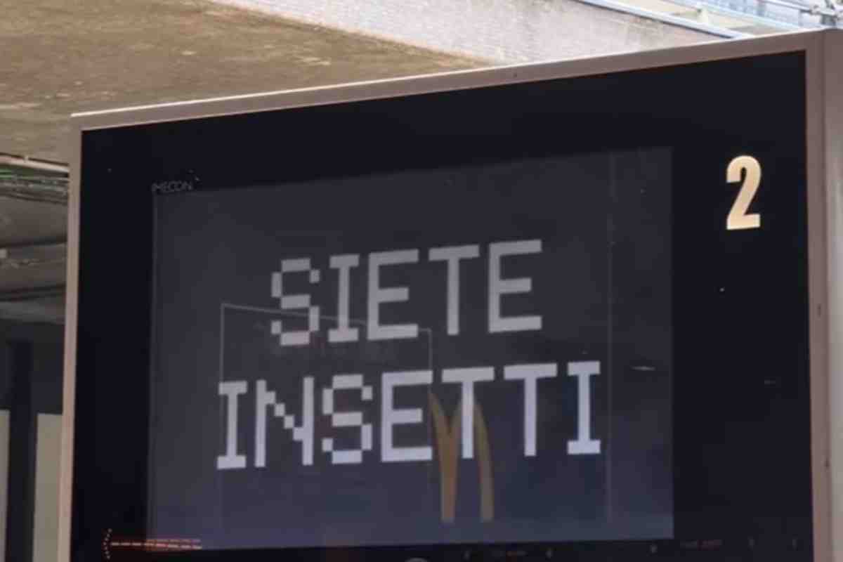 siete insetti